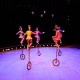 Encyclopédie du Cirque par Dominique Denis