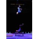 Encyclopédie du Cirque par Dominique Denis